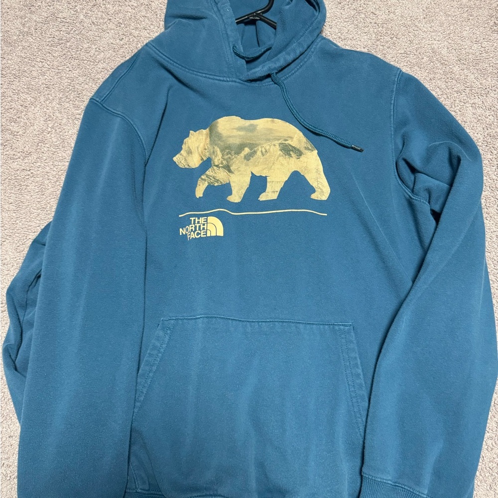 The North Face Teal Hoodie with Bear Design